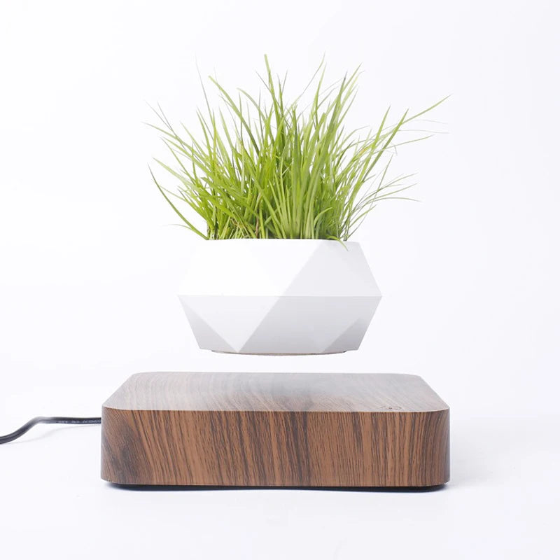 Levitating Magnetic Bonsai Planter - Floating Air Plant Pot