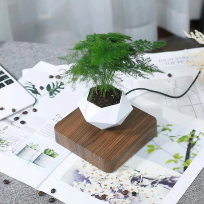 Levitating Magnetic Bonsai Planter - Floating Air Plant Pot