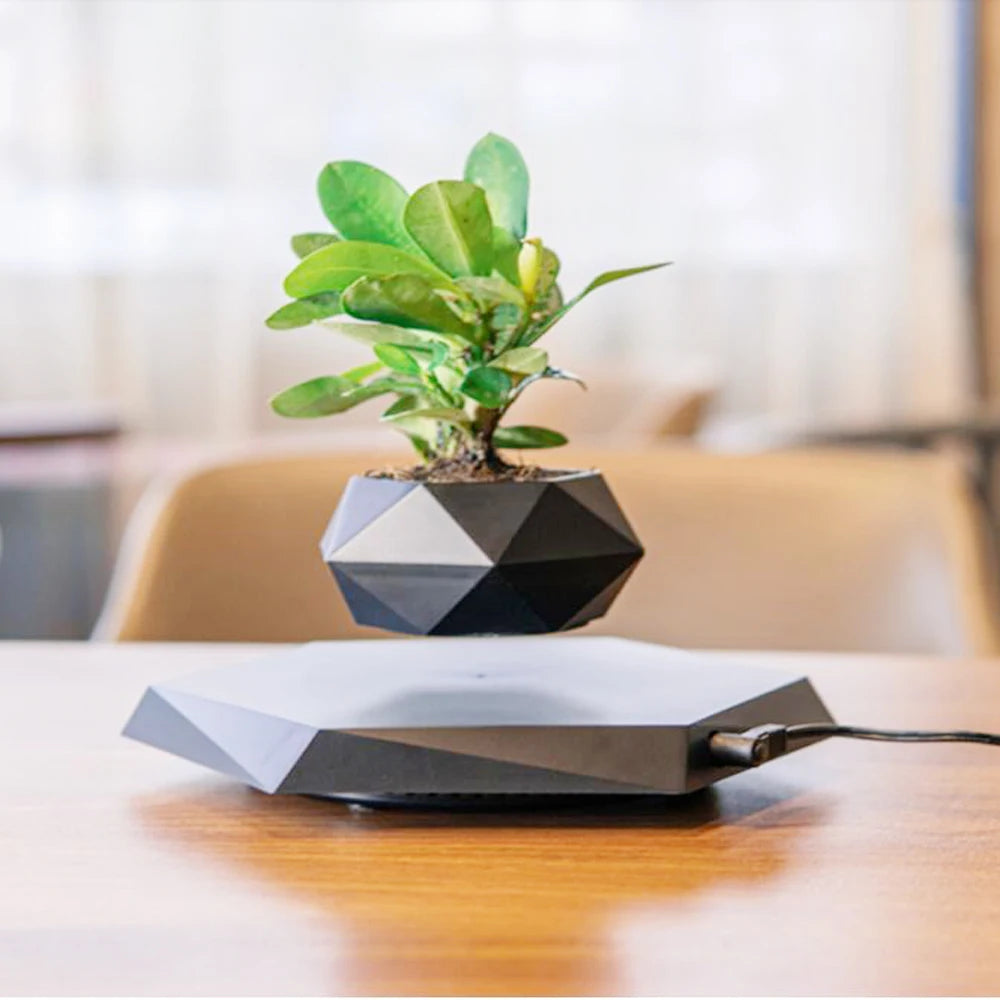 Levitating Magnetic Bonsai Planter - Floating Air Plant Pot