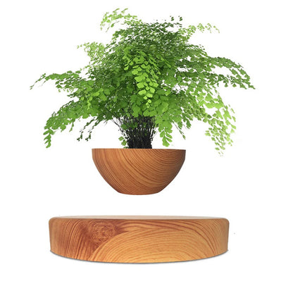 Levitating Magnetic Bonsai Planter - Floating Air Plant Pot